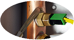 bx pt suprima he sensor cal flow 250.gif